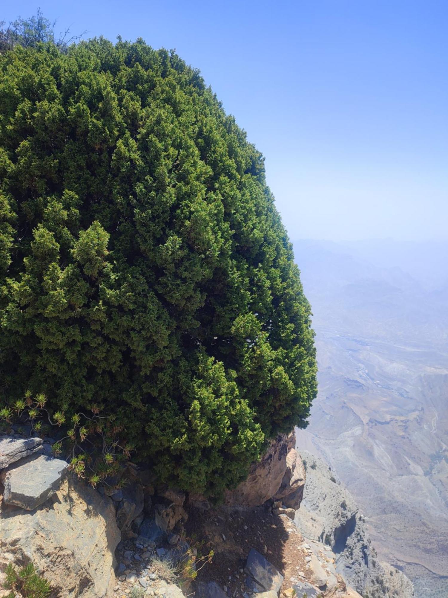 Stone Rest House Jebel Shams Al Hamra Exterior photo